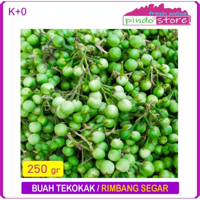 

BUAH RIMBANG / BUAH TEKOKAK SEGAR 250 GRAM