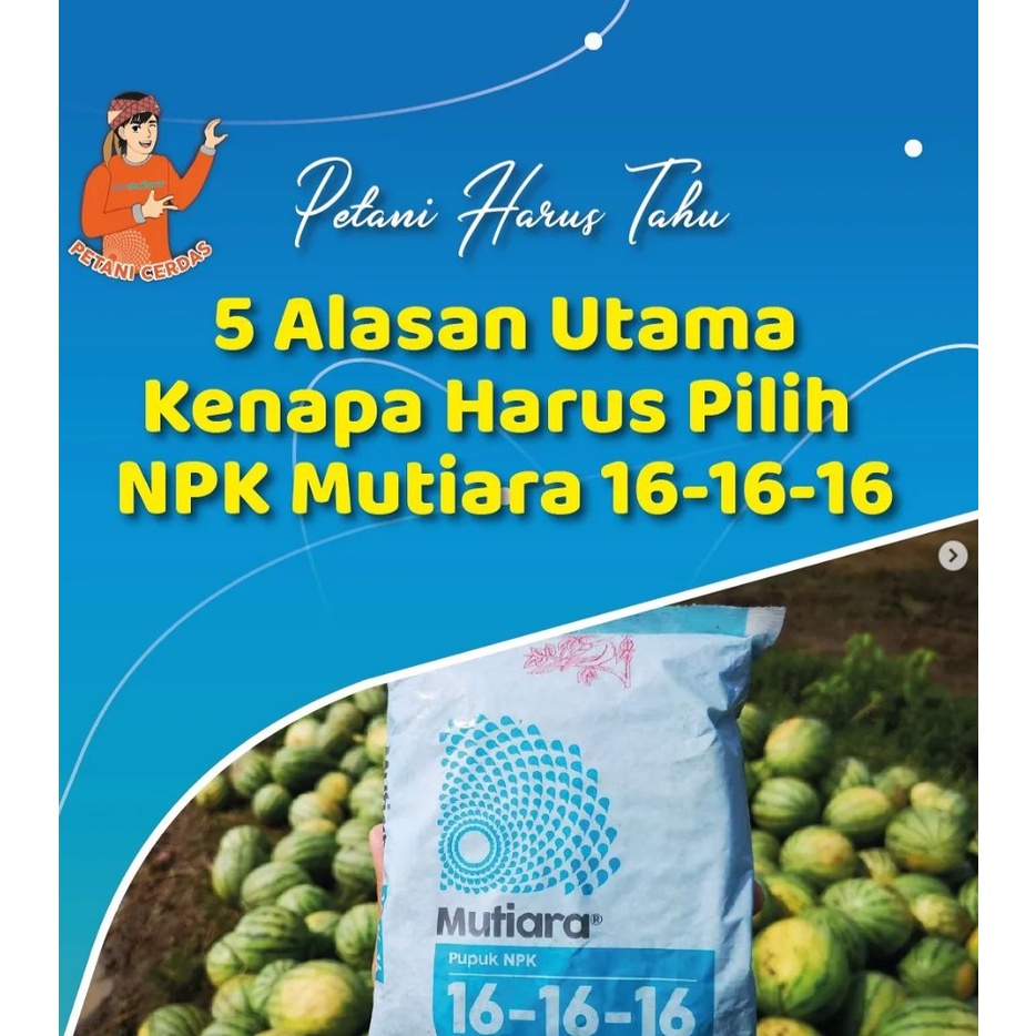 Pupuk NPK Mutiara 16-16-16