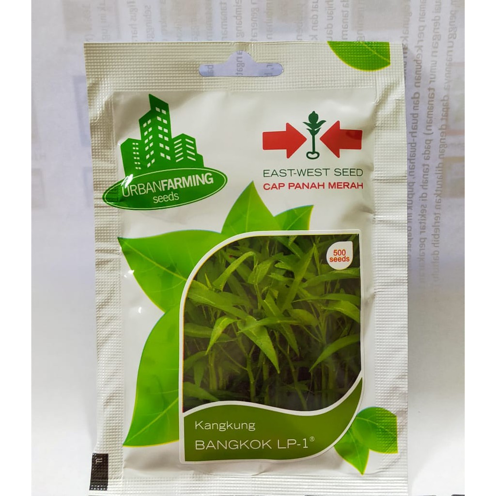Benih Kangkung BANGKOK