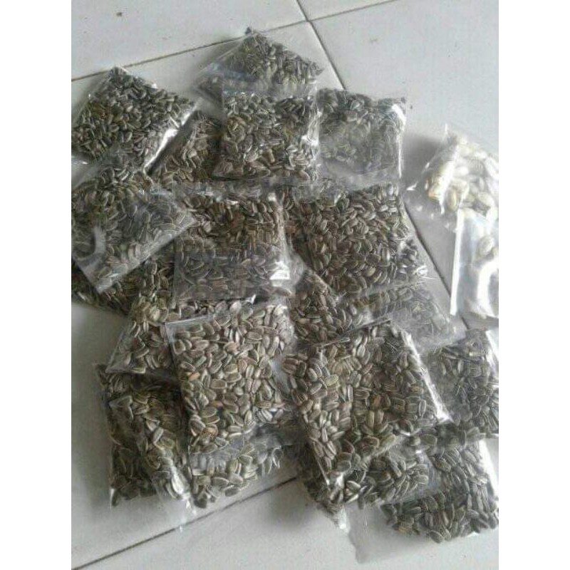 

biji bunga matahari 10grm