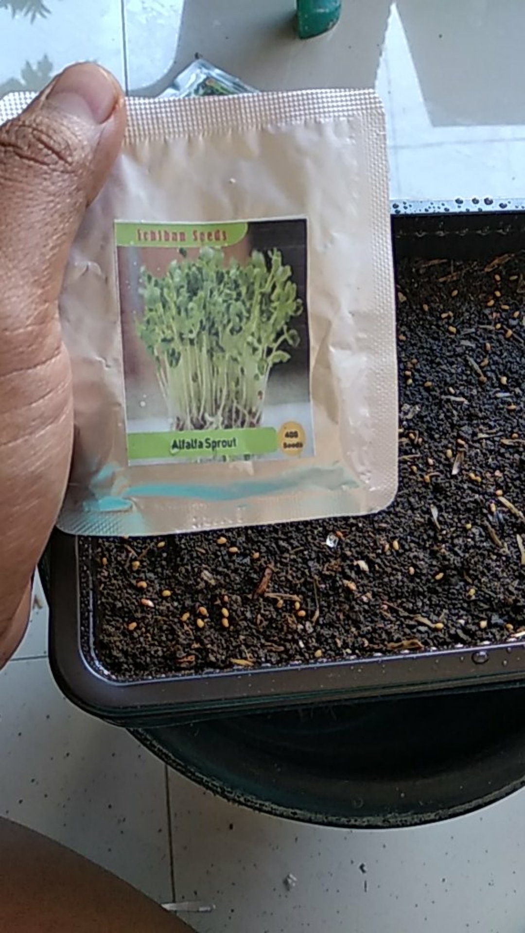 Benih Bibit Biji Alfalfa Microgreens Kemasan Alumunium Foil
