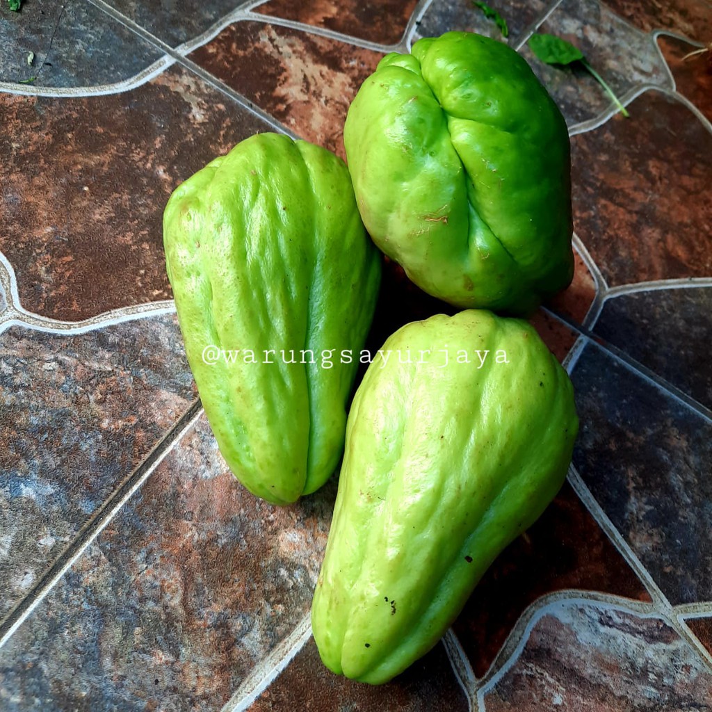 

Labu Siam Besar / buah