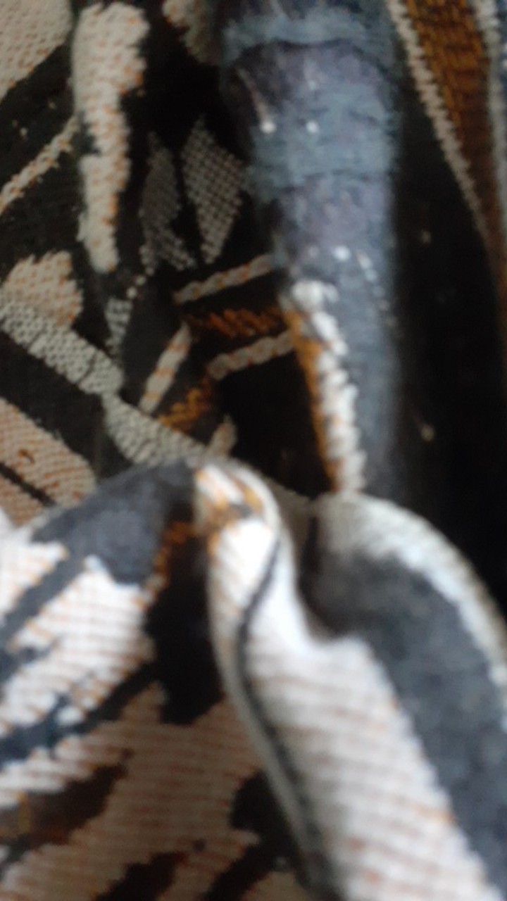 Sarung Batik Motif Kopi / Sarung Batik Pekalongan