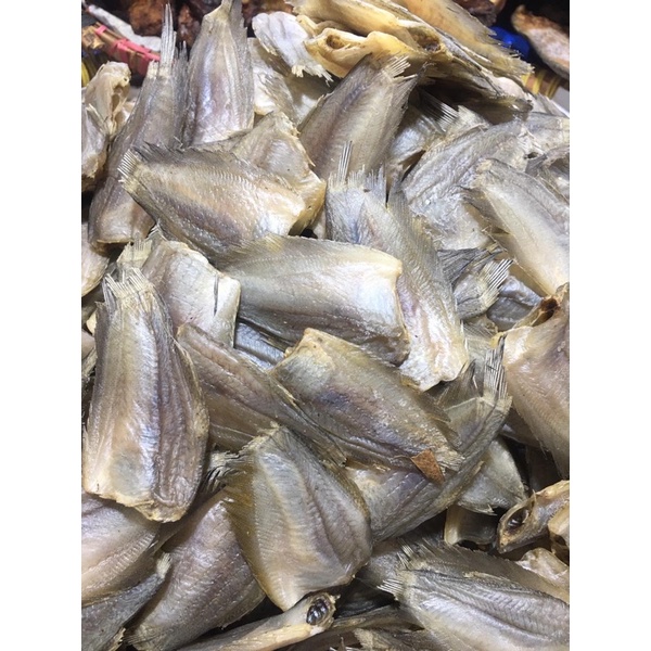 

Sepat bule palembang sapek