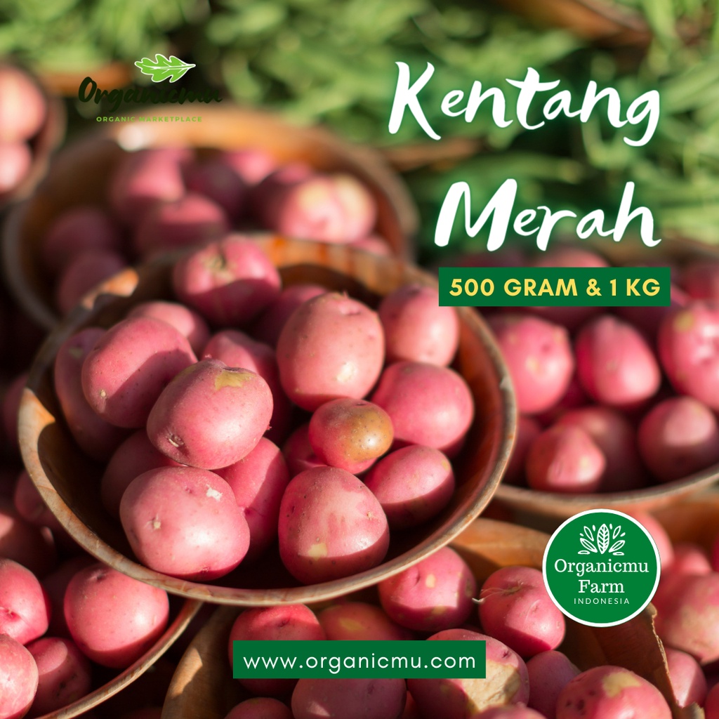 

Organicmu - Kentang merah 1 kg