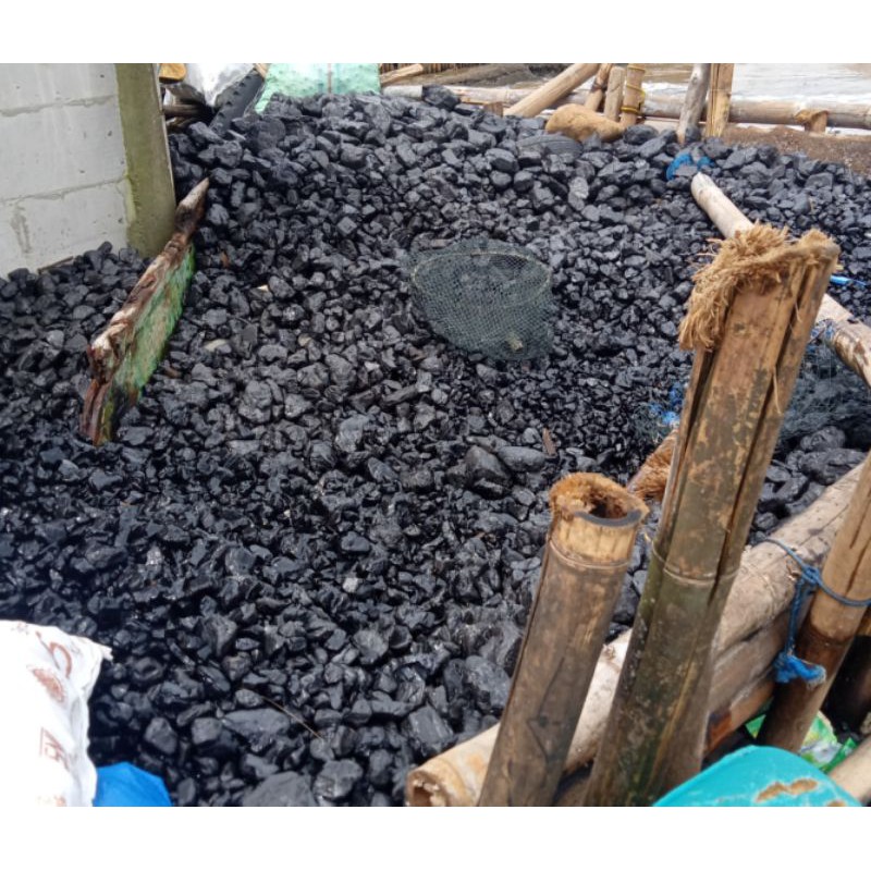 Batu Bara Alami Kiloan