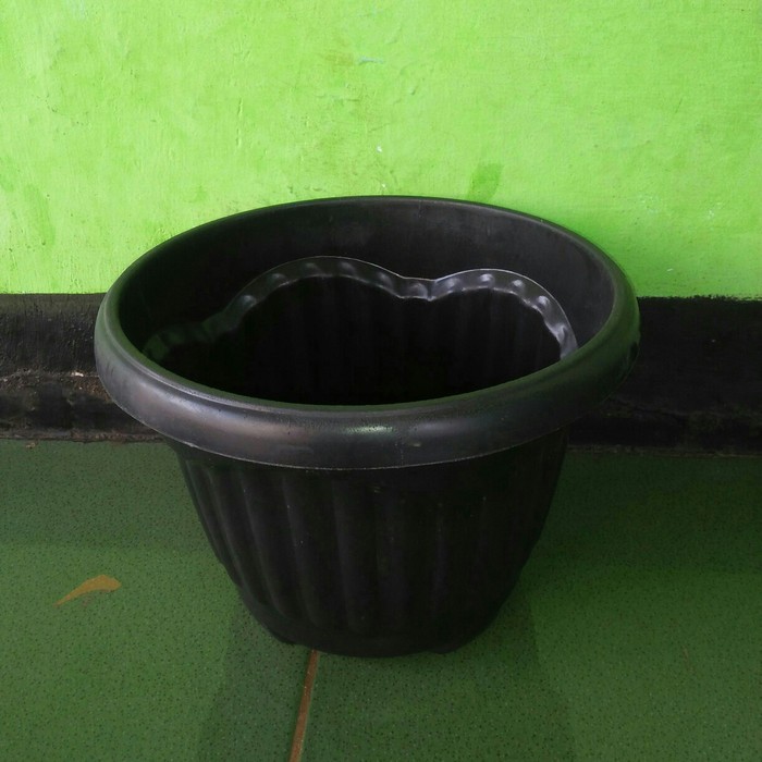 Pot Mio Shallom 25 // Pot Tanaman kuping Hitam