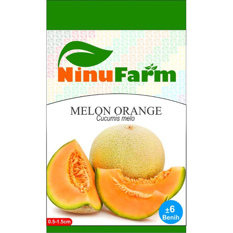 Benih Melon Oren / Bibit Buah Melon Orange
