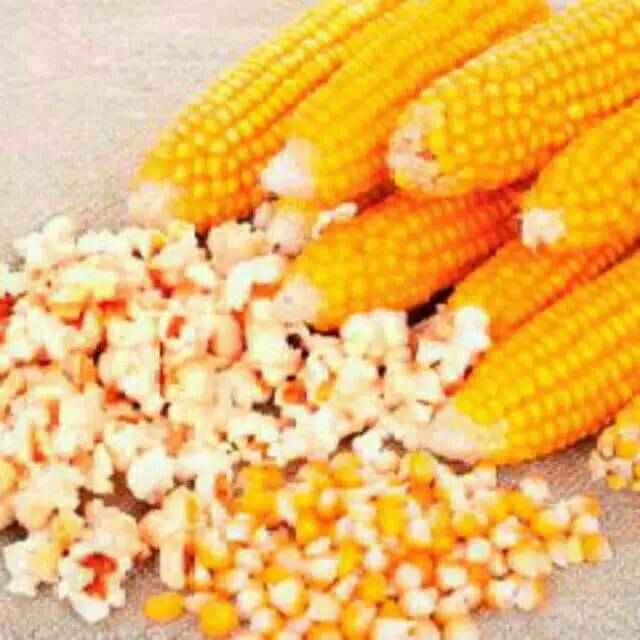

Jagung popcorn mentah 1000 Gram