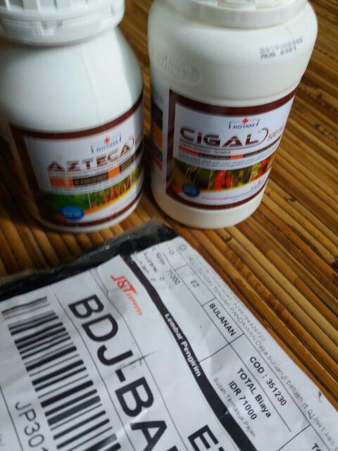 Azteca 600sc Kemasan 250ml Fungisida Anti Bun Upas