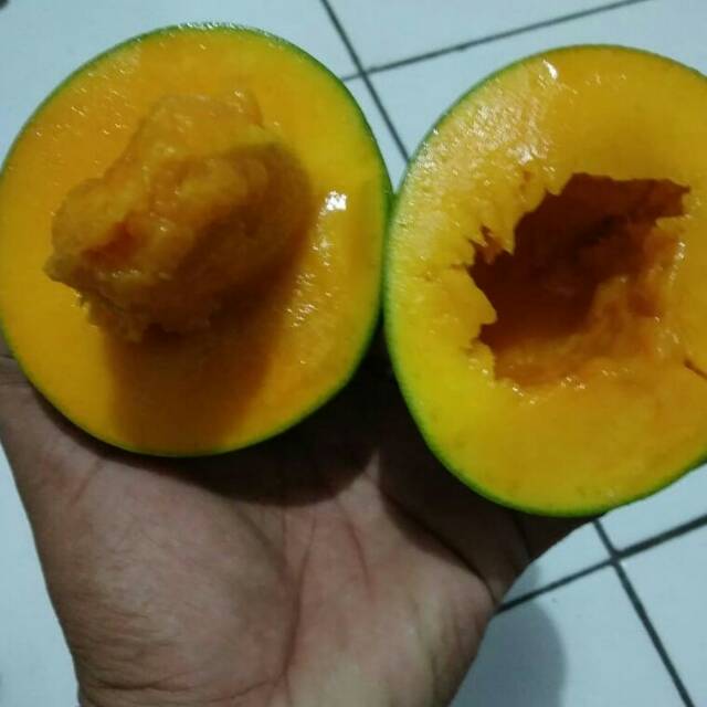 

Mangga Alpukat