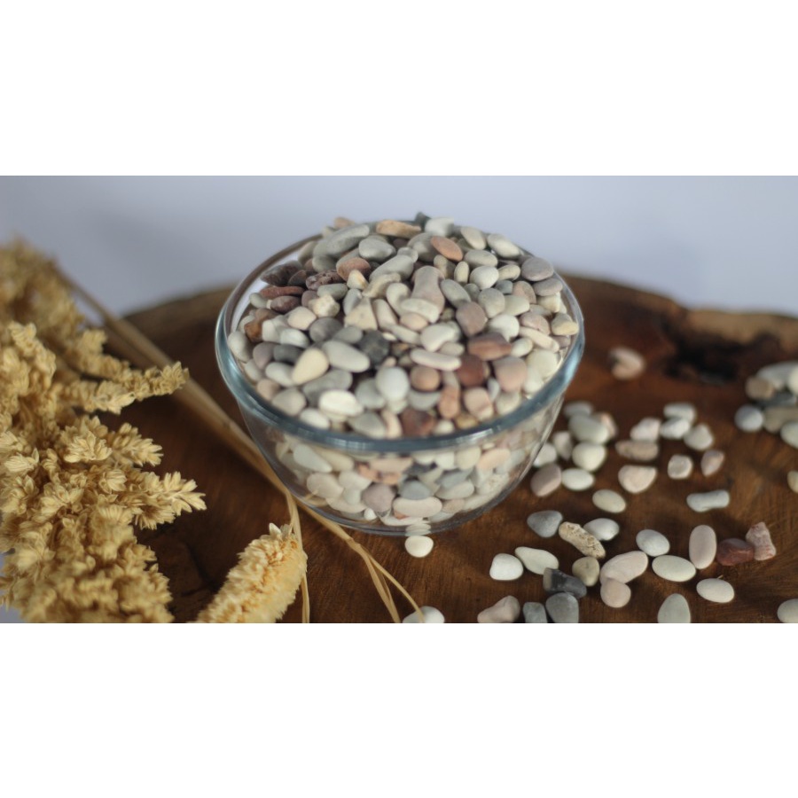 Batu Hias Pancawarna Mini Media Tanam Hiasan Pot Kaktus Sekulen Tanaman Hias Dekorasi Pot Kaca Canti