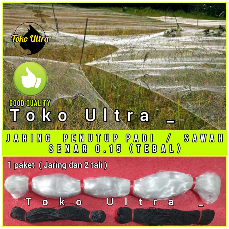 JARING BURUNG SAWAH (BONUS 2 TALI) JARING PADI | JARING BURUNG EMPRIT | JARING PIPIT | JARING BURUNG 2 INCH | JARING BUAH