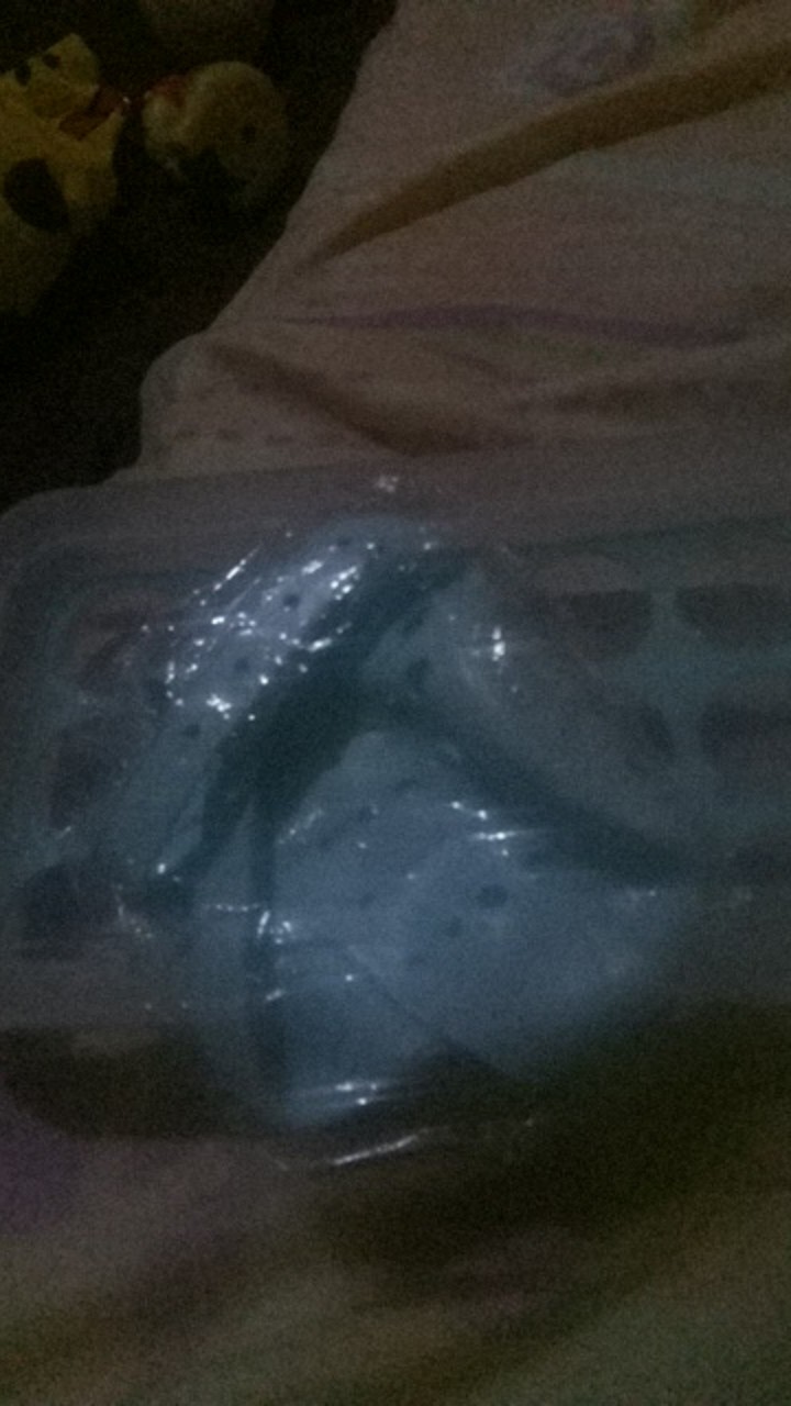 Karet Dapur Tempat Sabun & Spon Cuci Piring Silikon - Wastafel Hanger