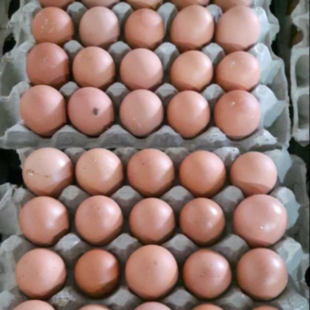 

Ready telur ayam negeri per kg 1 kg 1kg baru segar fresh