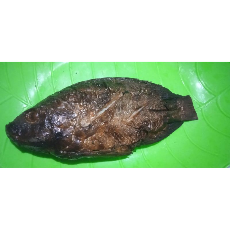 ikan mujair asap segar