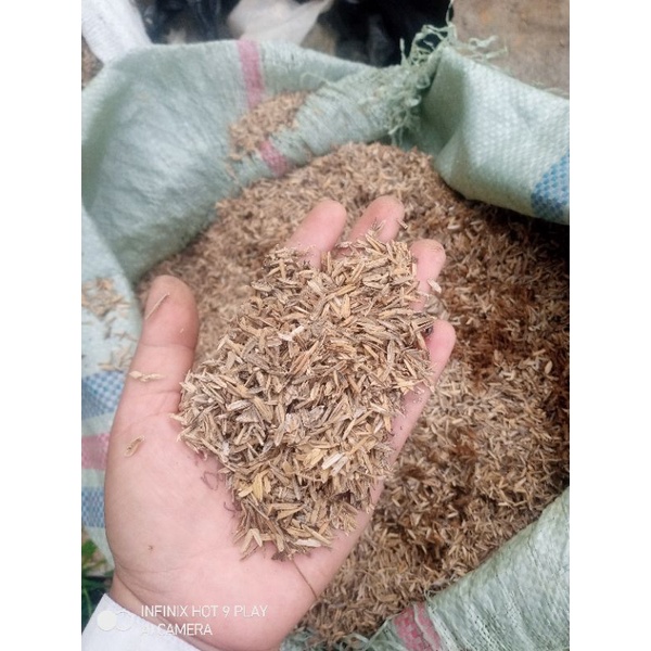 sekam mentah/padi/gabah
