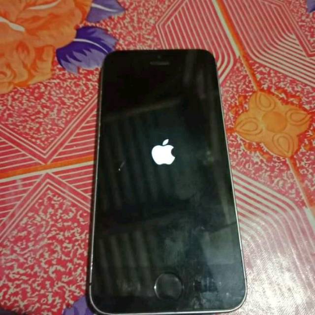 iPhone 5S