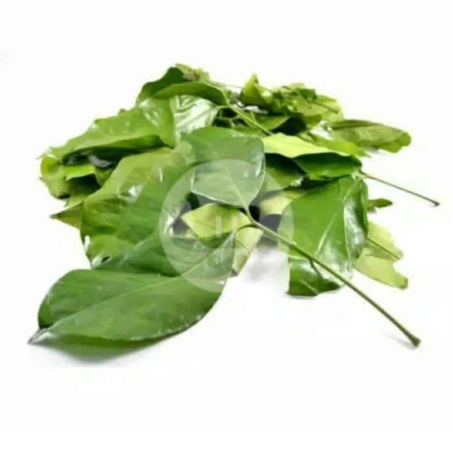 

Daun Melinjo 100 g