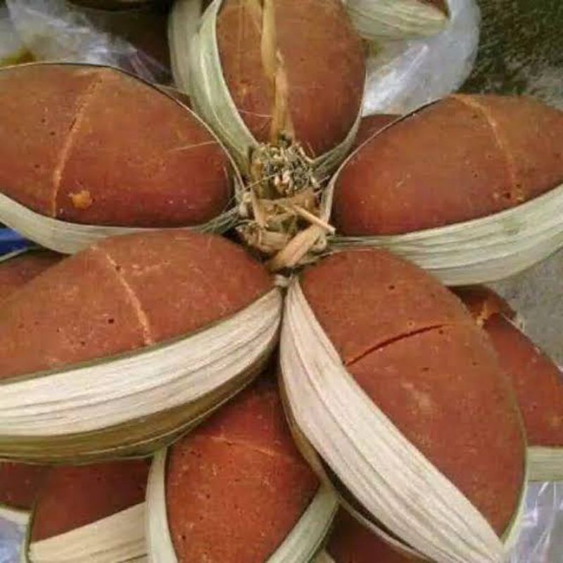 

Gula Aren Per 1 buah asli