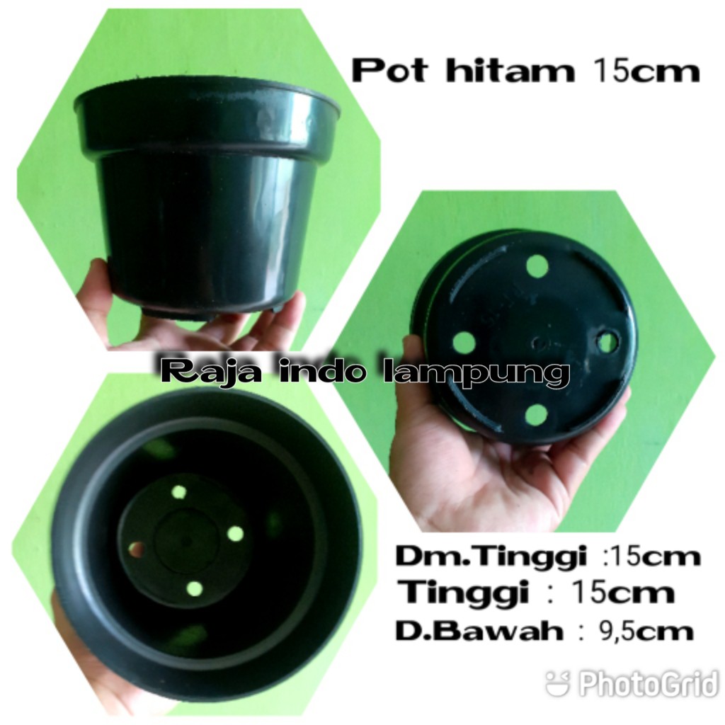 Pot Bunga 15cm Hitam - Toko Pot Tanaman Hias Grosir Murah Plastik 15 cm