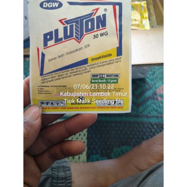 Insektisida Pluton 30 WG, kandungan Indosakarb 30 %