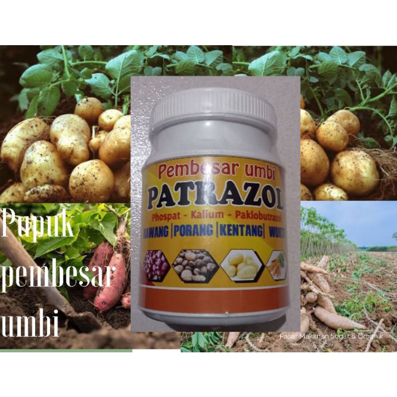PATRAZOL pupuk pembesar dan melebatkan umbi-umbian
