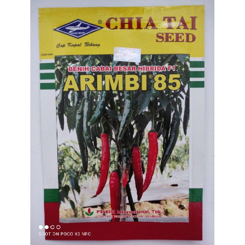Benih bibit Cabe besar ARIMBI 85 F1 10 gram