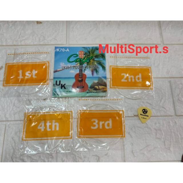 SENAR UKULELE 1 SET CAYE