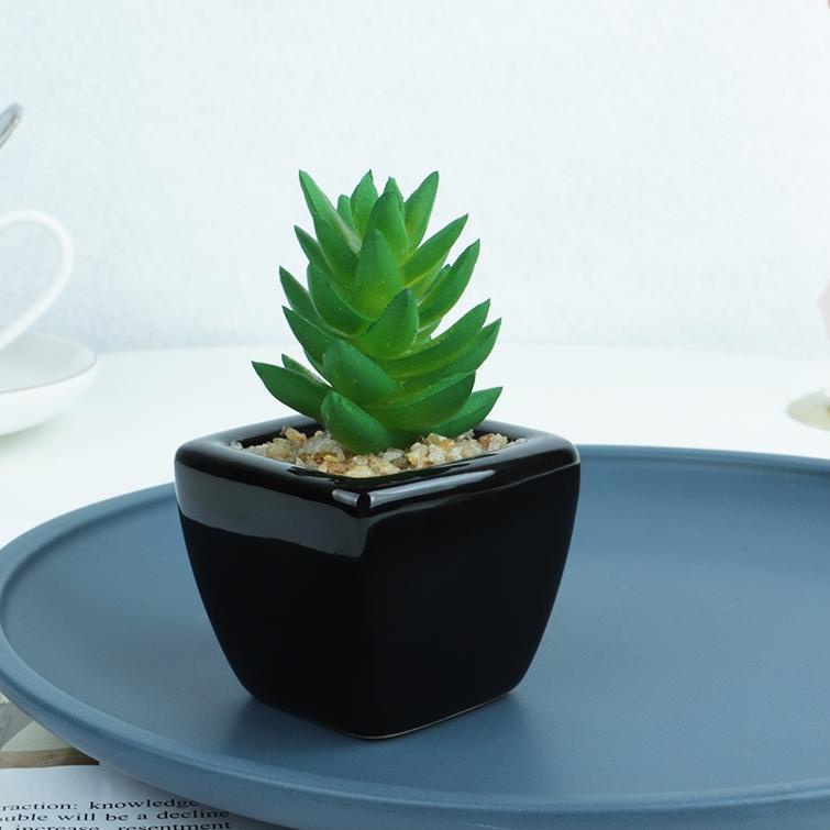 Dijamin Miring harga.. 【COD】Homes bunga hiasan kaktus hias dengan pot plastik tanaman sukulen IN STO