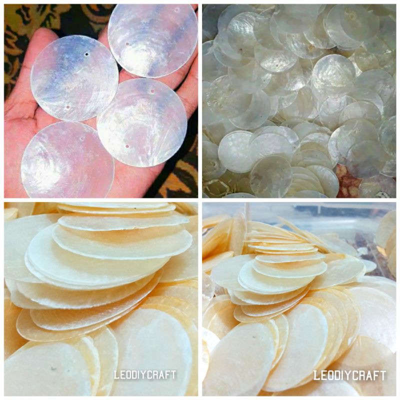 50pcs Simping Kerang - simping kerang - Kerang Untuk Craft