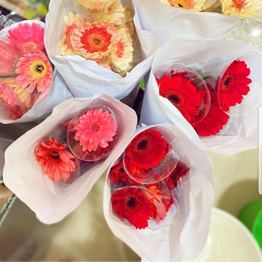 TOKO BUNGA BANDUNG / BUNGA HEBRAS PERTANGKAI