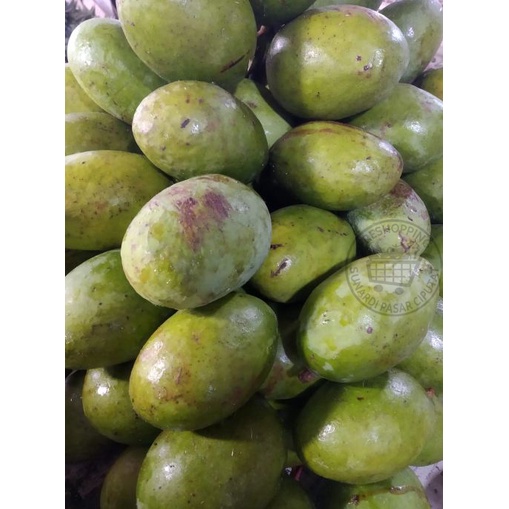 Buah Mangga Kweni per 1 kg