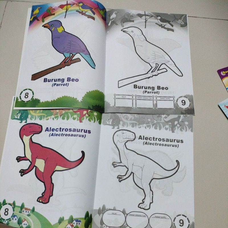 buku mewarnai lebar boediono 24 halaman full colour 20x29cm