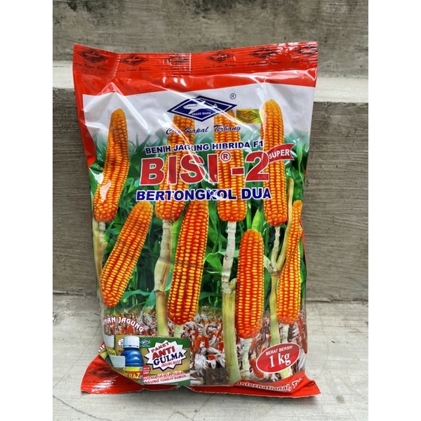 Bibit Jagung BISI-2 1kg cap kapal terbang