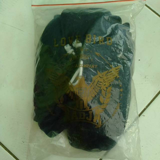 Krodong lb radjawali indonesia