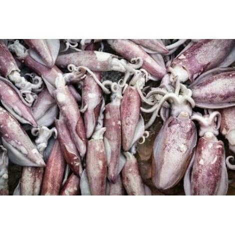 

CUMI ASIN 1KG MURAH