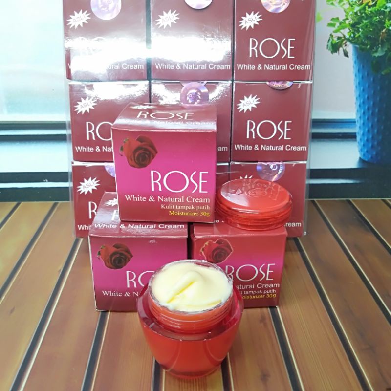 Cream Rose Original // Rose Original (12pcs)