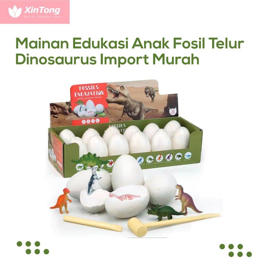 Mainan Edukasi Anak Telur Dinosaurus Fosil Mainan Arkeologi