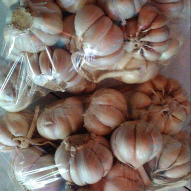 

Bawang Putih Murah