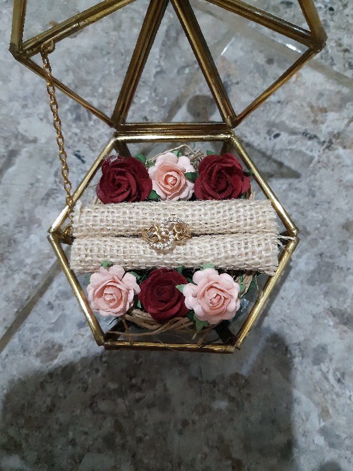 Ringbox Terrrarium Only Mini