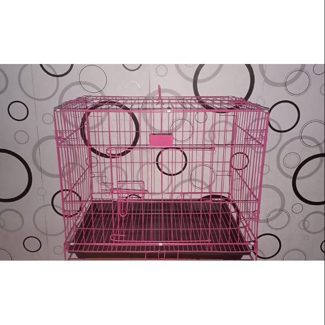 Kandang kucing