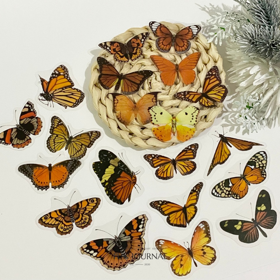 

BUTTERFLY TRANSPARANT STICKER STIKER FLAKES SERIES 3 JURNAL JOURNAL PLANNING BUJO SCRAPBOOK DIY
