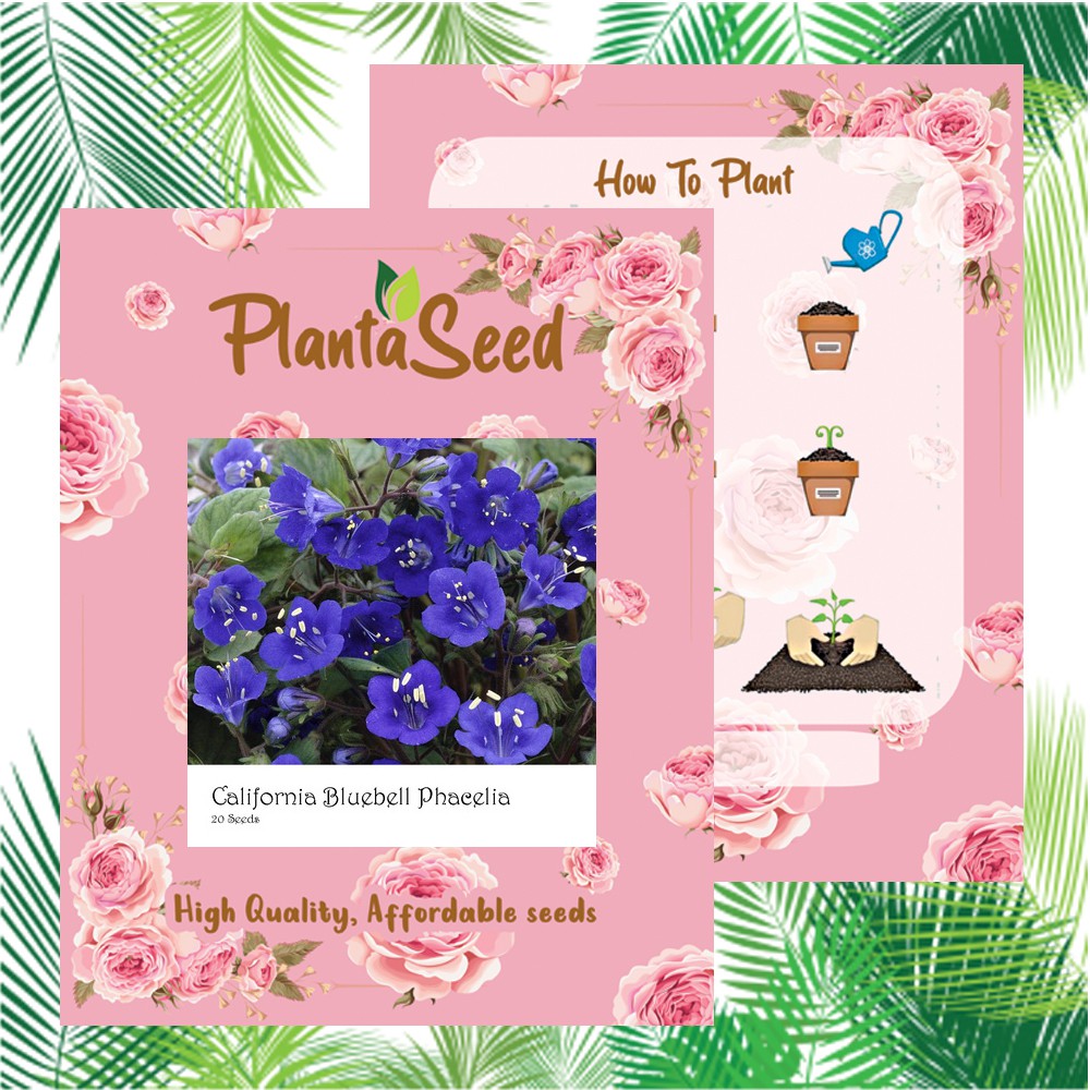 PlantaSeed - 20 Seeds - California Bluebell Phacelia Biji - PAS0215