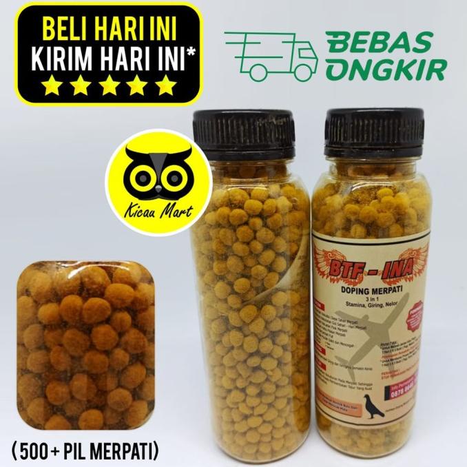 BTF INA PIL JAMU HERBAL VITAMIN BURUNG MERPATI POS DARA KOLONG PILBTF