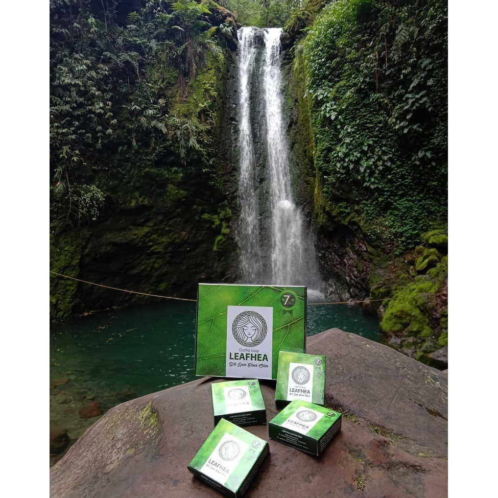 leafhea soap