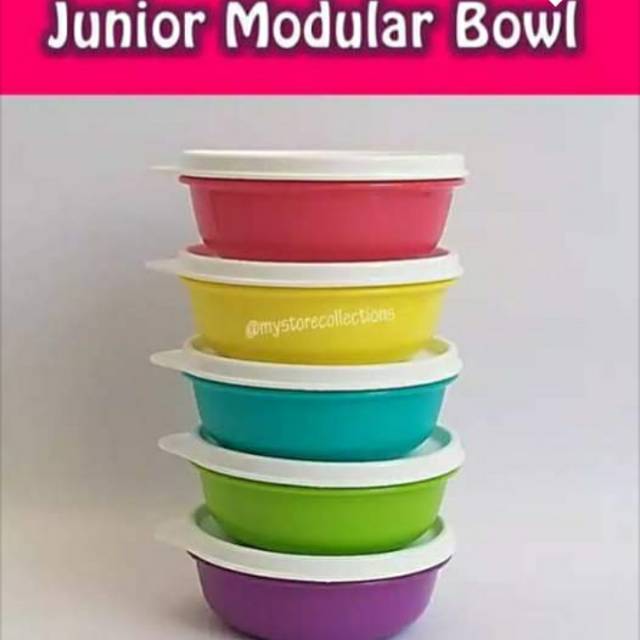 Junior modular bowl