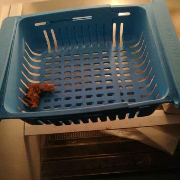 Laci Kulkas Kotak Penyimpanan Makanan Dalam Kulkas Sliding Rack Kotak Makanan Gl050