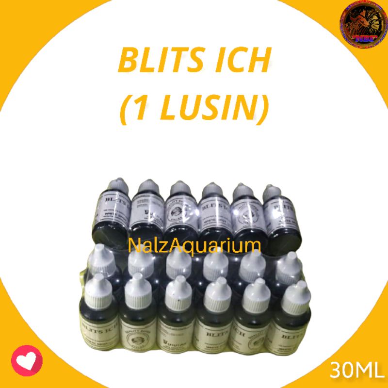 OBAT IKAN ICHT 30ML 1 LUSIN  / OBAT IKAN CUPANG / BLITZ ICHT / OBAT BIRU