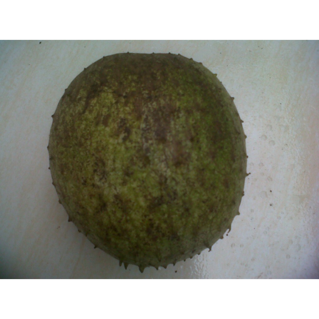 

Buah sirsak gunung 3 kg